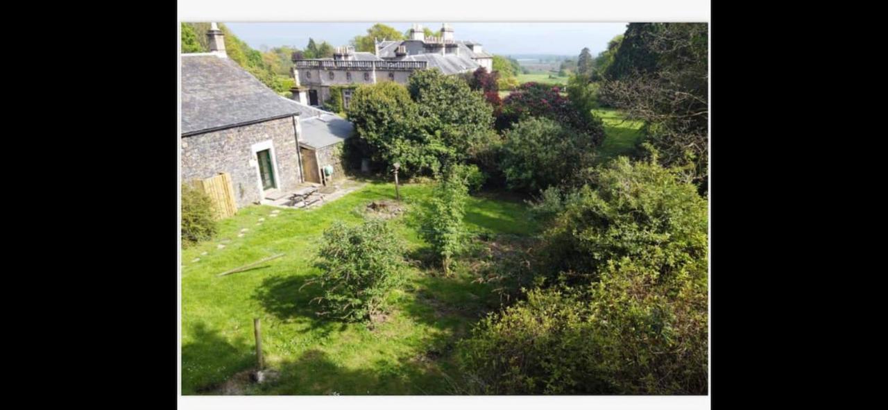 Woodland Cottage Charleton Estate Colinsburgh Dış mekan fotoğraf